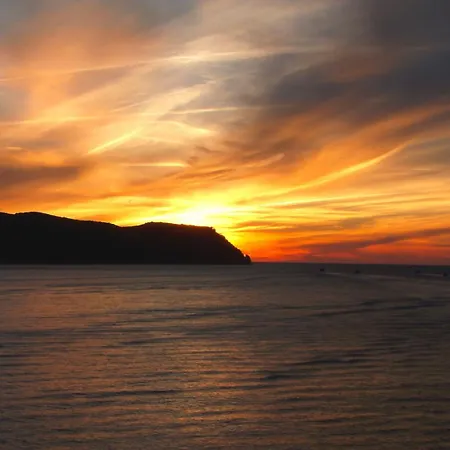 호텔 Canyelles Platja 4*