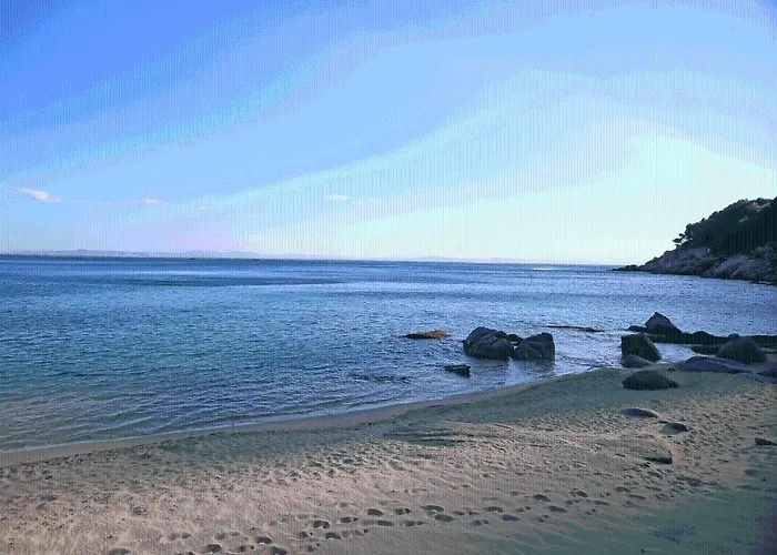 Canyelles Platja Hotel 4*