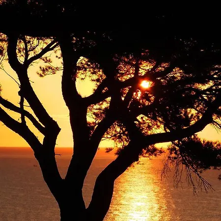 Canyelles Platja Roses